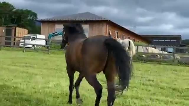 2022-6-26 Turn-out-2