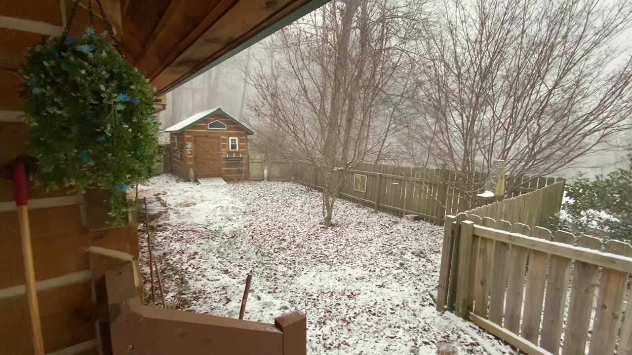 NW NC at The Treehouse 🌳 First significant snow of the year. 6 inches expected above 3500 elevation