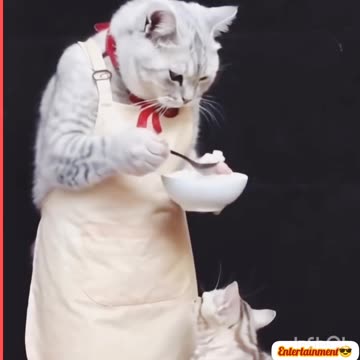 Viral🔥 funny😝😝 video