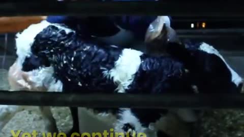 COVID-19_ The Reality We Rather Not See