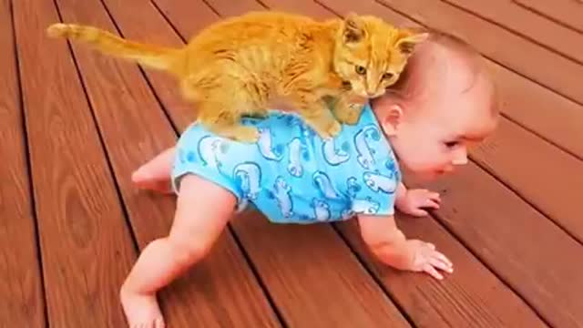 Battle of cat and babies.baby angry with cat