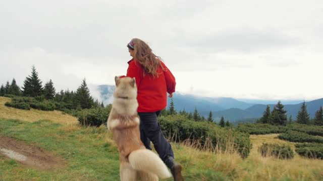 Dogs enjoys running