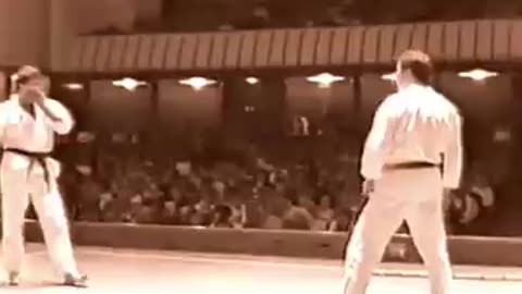 Karate Demo