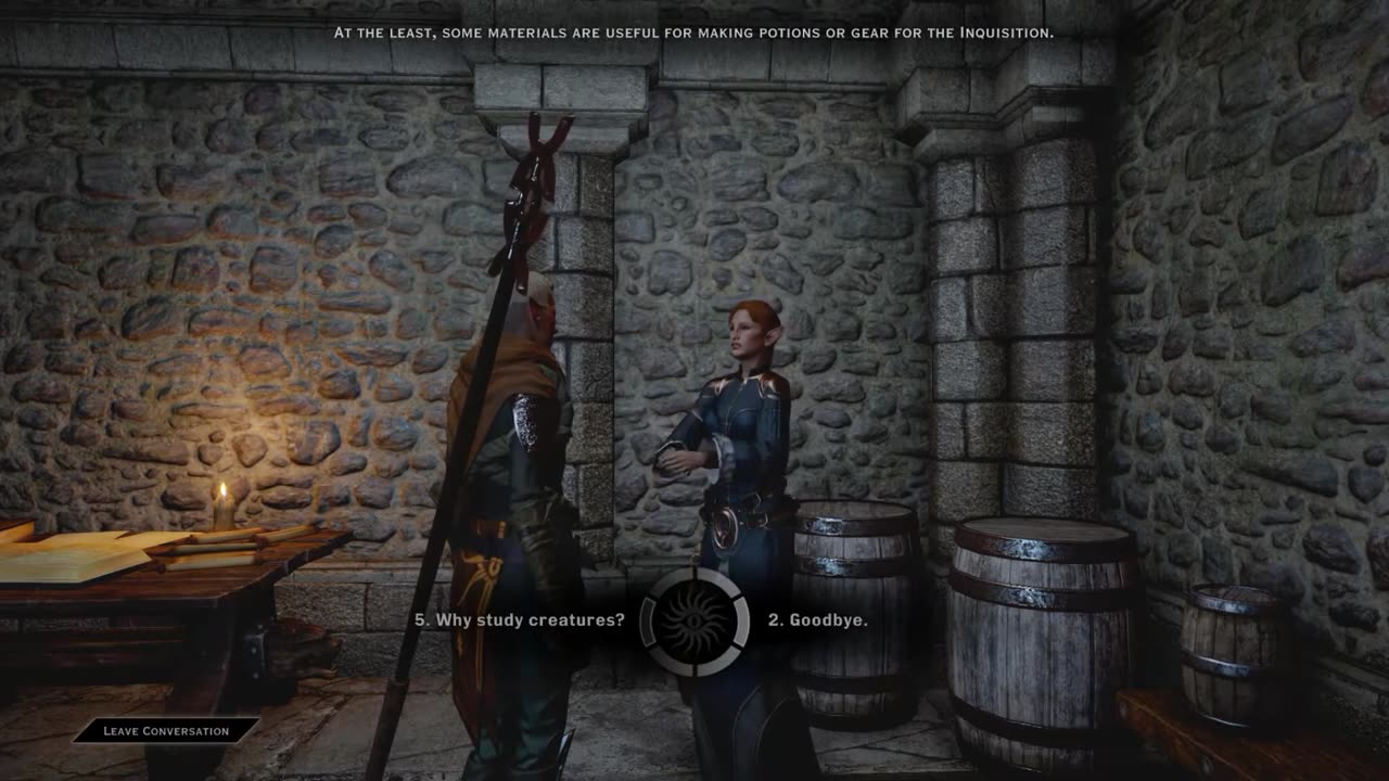 Dragon Age Inquisition: Minaeve and Lavellan