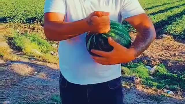 Watermelon is So nice but is Raw