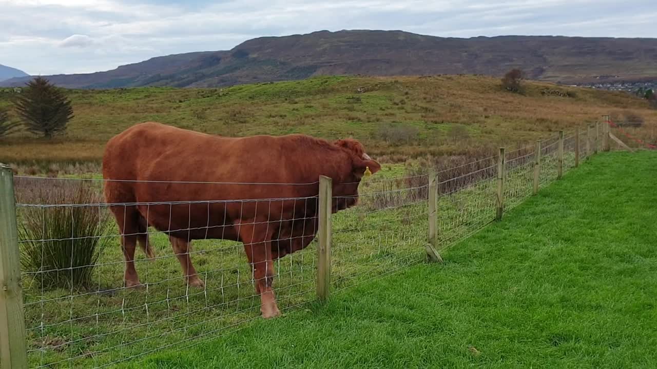 Isle of Skye 🌄Portee Scotland🦄 Caravan 🚐Camping Quantum Family Holidays 10.2019