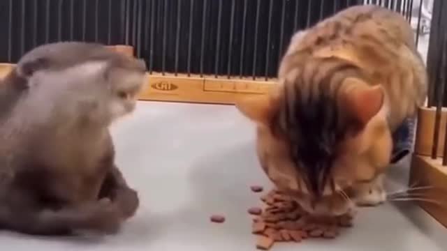 Let me help