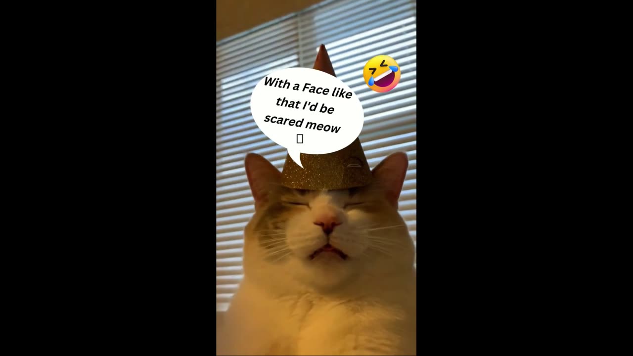 Cat reacts to funny animals