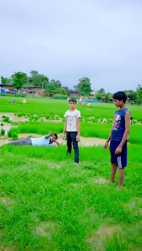 Work in Field (Funny)