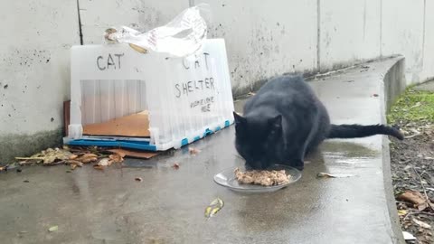 20240122 155720 Tux Eating