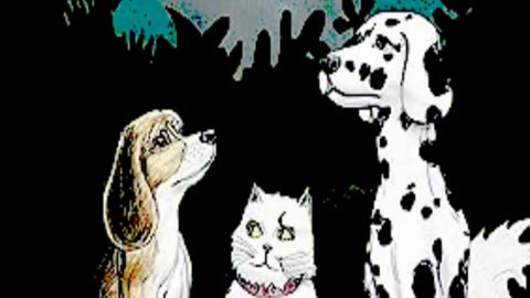 Phoebe the Cat and Her Curious Dog Dream - BKWTCH
