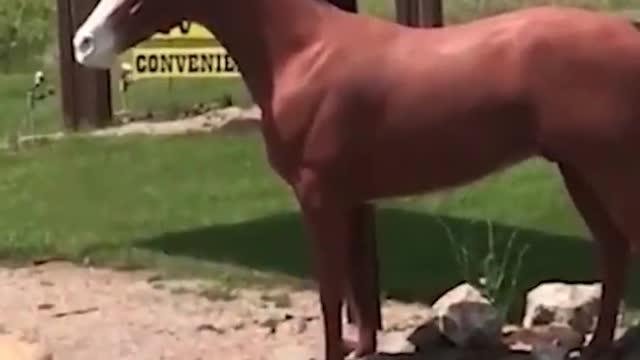 fail compilation 2021 | try not to laugh | funny fails