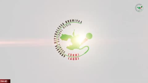 Oduu Waaree ONM-ABO Fulbaana 11-2024 itti dhiyaadhaa!