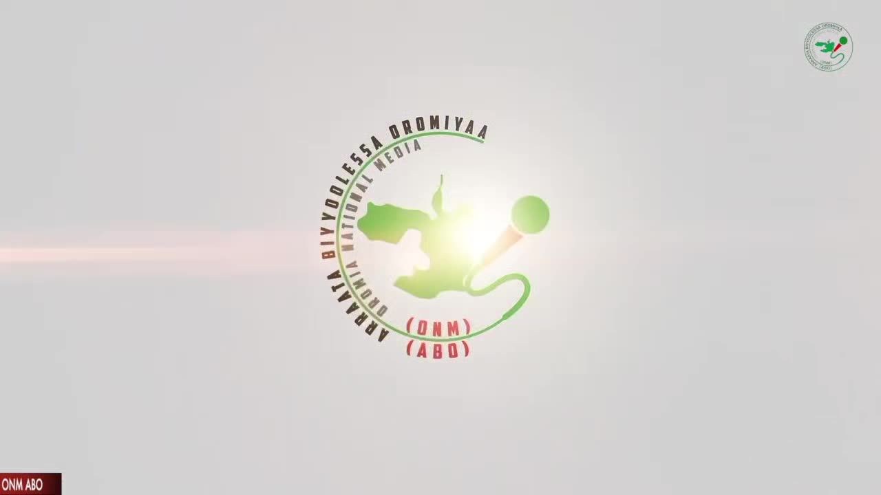 Oduu Waaree ONM-ABO Fulbaana 11-2024 itti dhiyaadhaa!