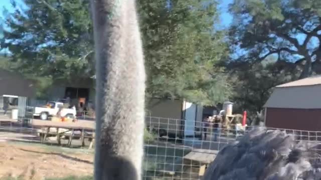 Scared me! Watch what happened