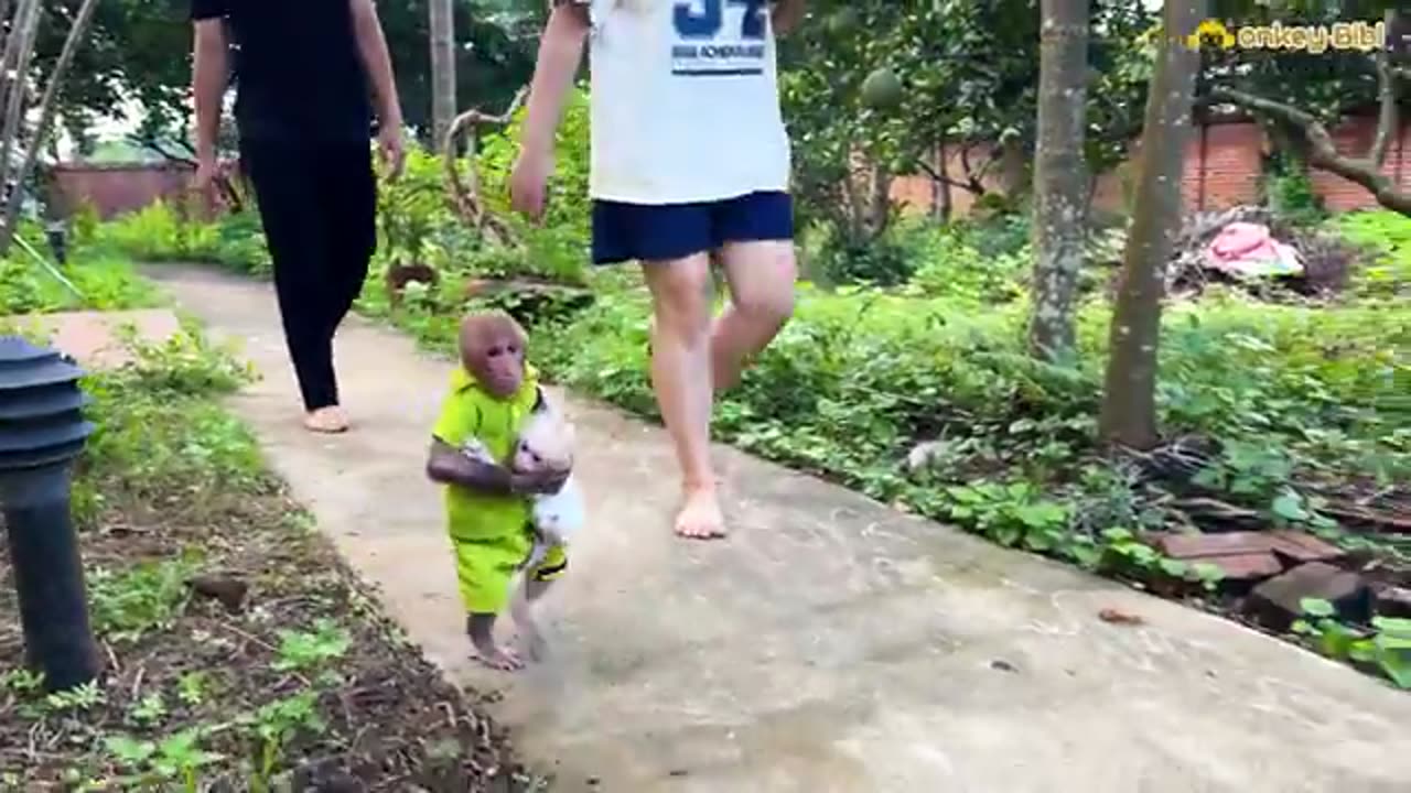 Bibi_takes_the_poor_baby_monkey_to_explore_the_farm_and_gives_special_love!(360p)