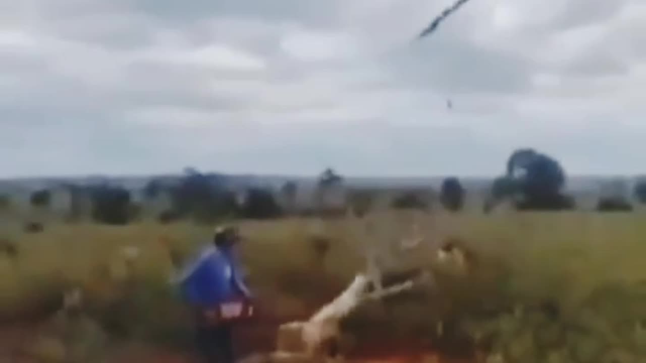 When Nature Fights Back