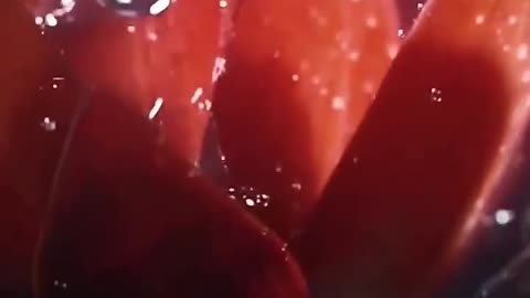 Video of how the plant felt when it came out of the ground