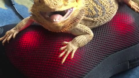 Lazy mode