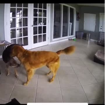 They always look out for each other