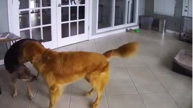 They always look out for each other