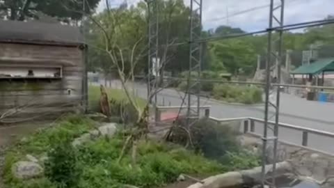 Boston USA 💫🙋🏻🗽🇺🇸