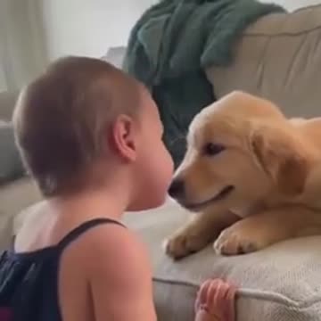 baby and dog 😍😘fun cut