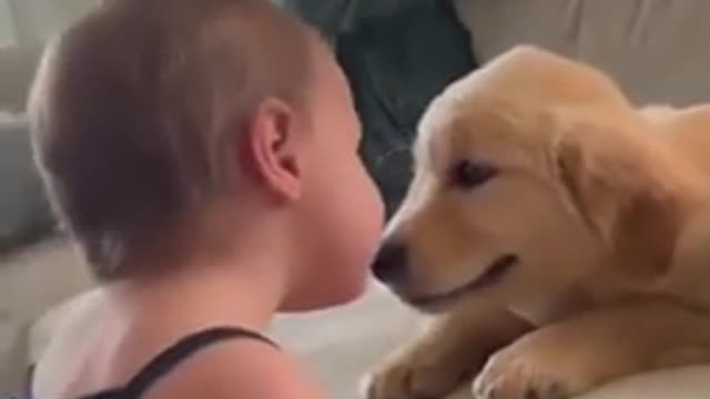baby and dog 😍😘fun cut