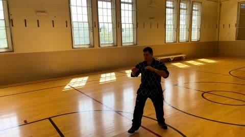 Seiyo-ryu Aikibujutsu Jab