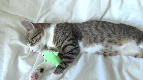 I Can't Sleep Without My Toy