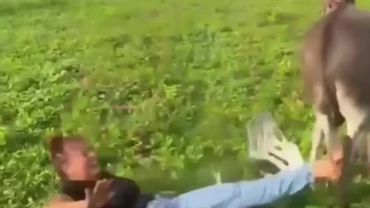 Laugh Till You Drop: Hilarious Moments You Can't Miss!