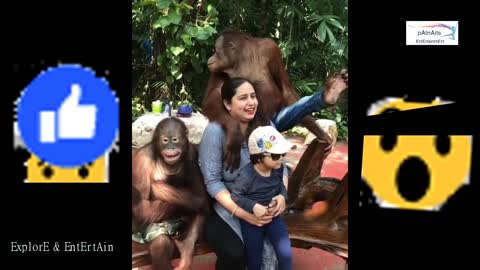 Monkey kisses girl _ funny compilation _ Gorilla kiss to Indian Girl _ gorilla proposing to girl