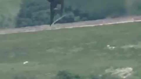 What are flying