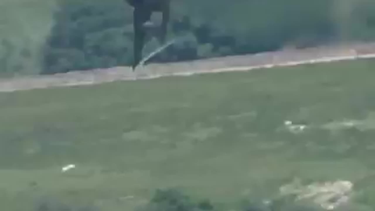 What are flying