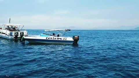 The sea