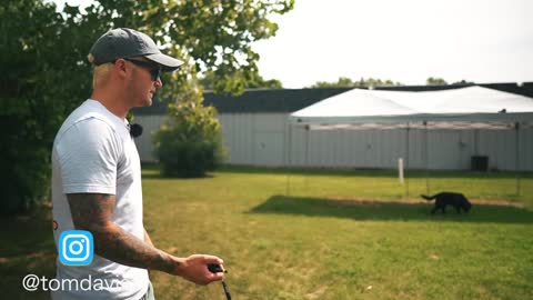 HOW TO SAFELY TRAIN YOUR DOGS COMPLETELY OFF LEASH!
