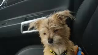 Loki things Ridin' dirty
