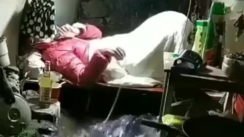 New york Apartments In a Nutshell