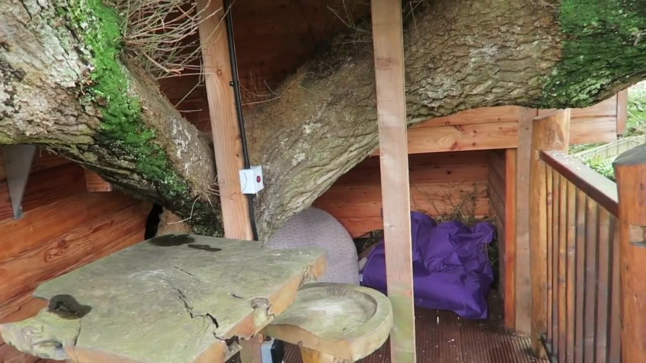 OUR LUXURY TREEHOUSE TOUR