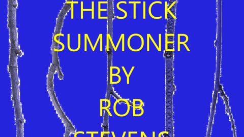 SILLY BOB - THE STICK SUMMONER