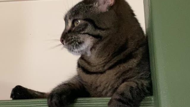 What’s that dad?