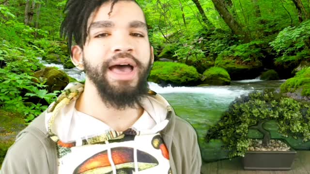 TBBOL: Your Colorful Consciousness- GREEN #4