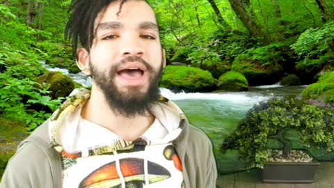 TBBOL: Your Colorful Consciousness- GREEN #4