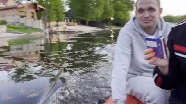 Quick Reflexes Save Doggy After It Dives From Moving Boat