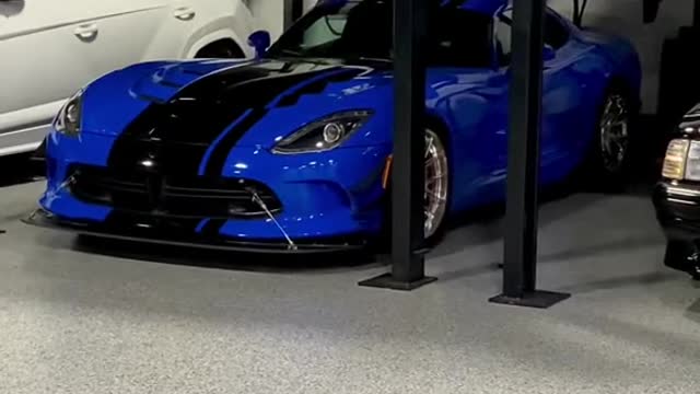 viper