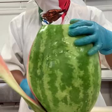 funny|prank|jokes|funny jokes|dad jokes|funny memes|funny video|fun|laughing|funny animal|knock