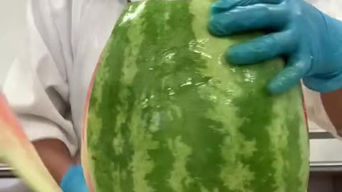 funny|prank|jokes|funny jokes|dad jokes|funny memes|funny video|fun|laughing|funny animal|knock