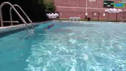 Swimming Lessons at Home | UrSwim