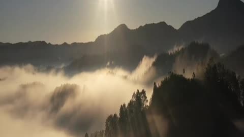 Release Stress & Tension_ Guided Body Scan Meditation for Deep Relaxation_ #meditation #soothing