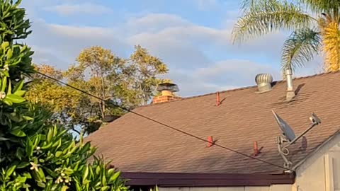 Weird alien 🛰 watching 👀 me were the space hash homie